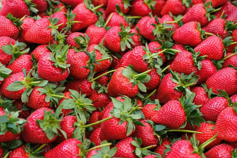 Rachel Fonseca, the Latina Owner Behind Strawberry Delights